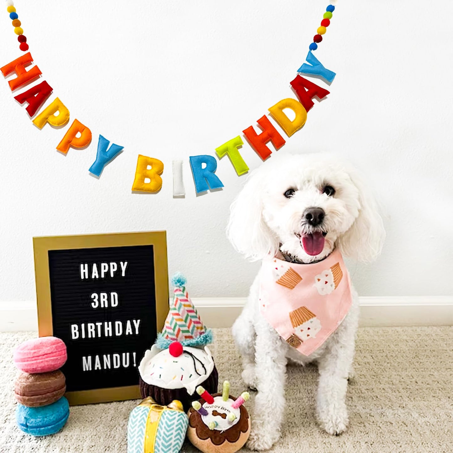 KUQJJQU Pre-Strung Happy Birthday Banner – Rainbow Felt Ball Garland