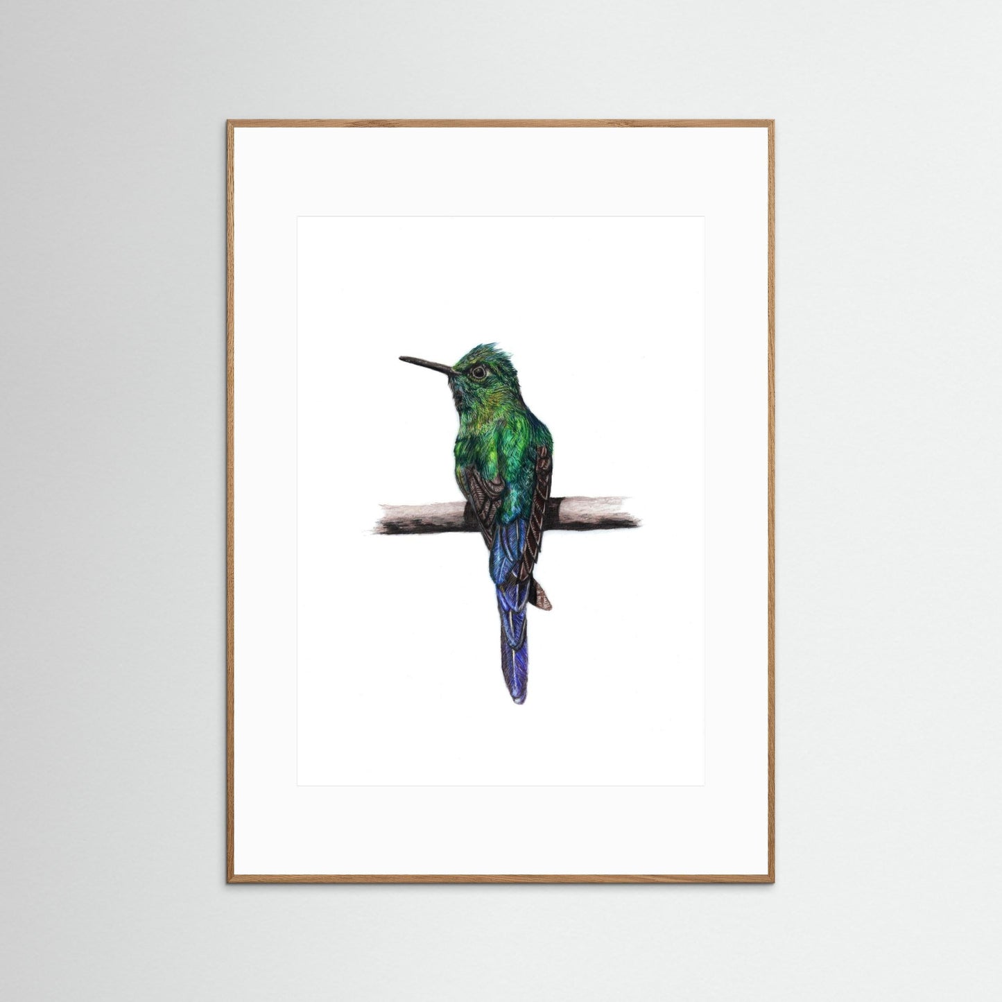 Hummingbird Wall Art Print – Fine Art Wildlife Illustration
