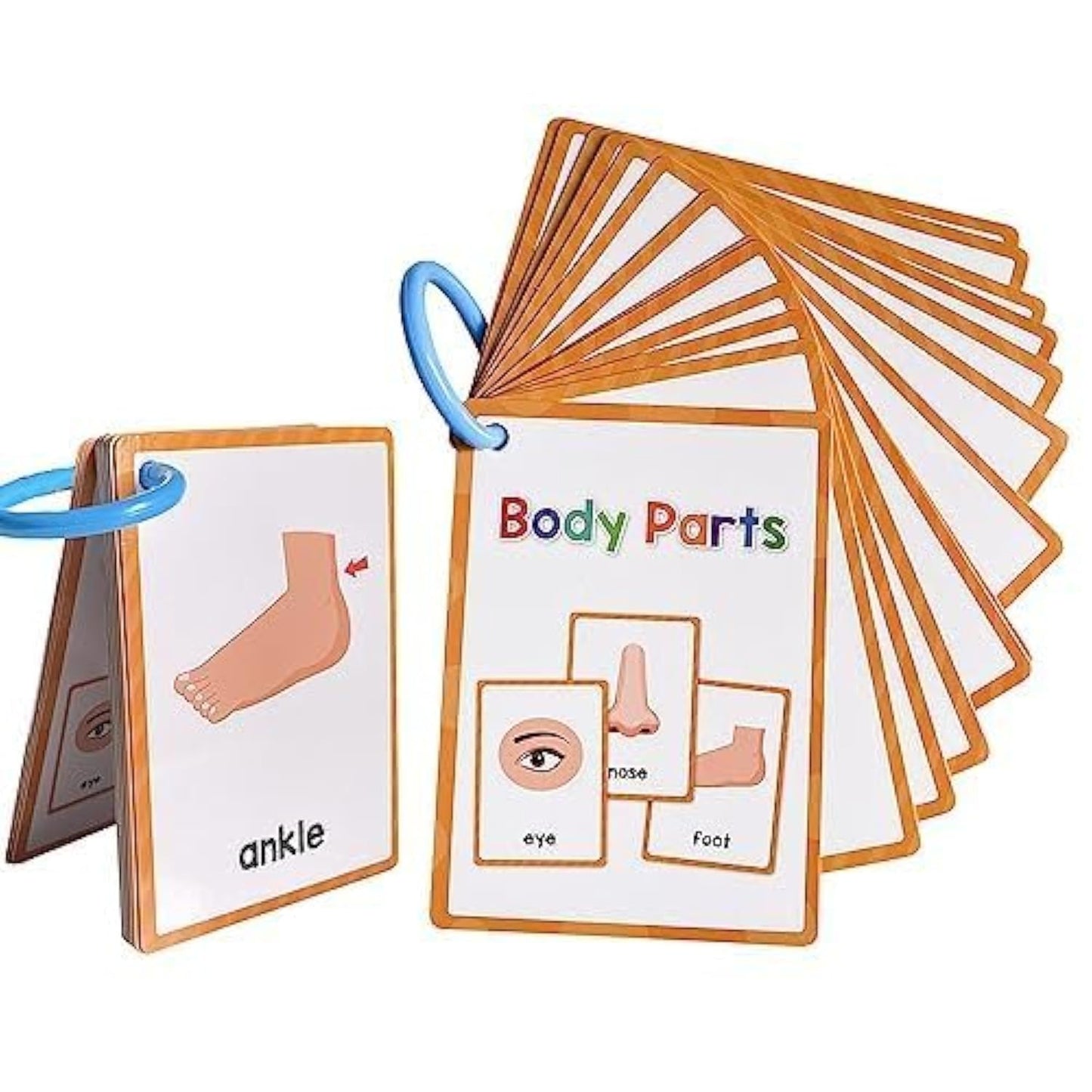 Lachilly Body Parts Learning Flashcards – 28 Words, 15 Double-Sided Cards for Kindergarten–1st Grade