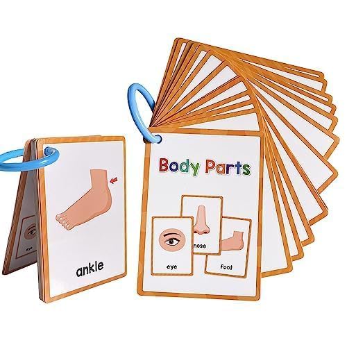 Lachilly Body Parts Learning Flashcards – 28 Words, 15 Double-Sided Cards for Kindergarten–1st Grade