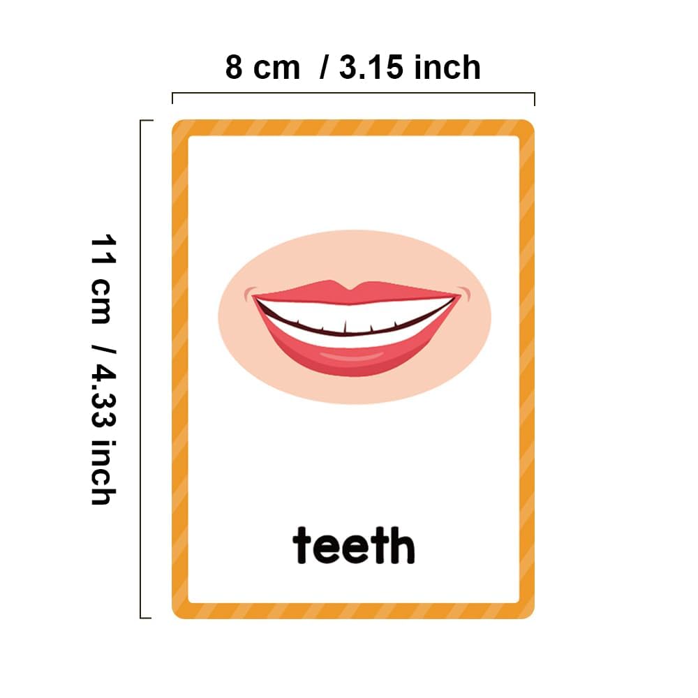 Lachilly Body Parts Learning Flashcards – 28 Words, 15 Double-Sided Cards for Kindergarten–1st Grade