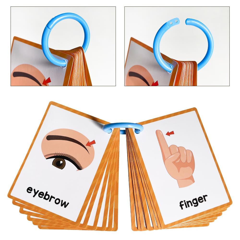 Lachilly Body Parts Learning Flashcards – 28 Words, 15 Double-Sided Cards for Kindergarten–1st Grade
