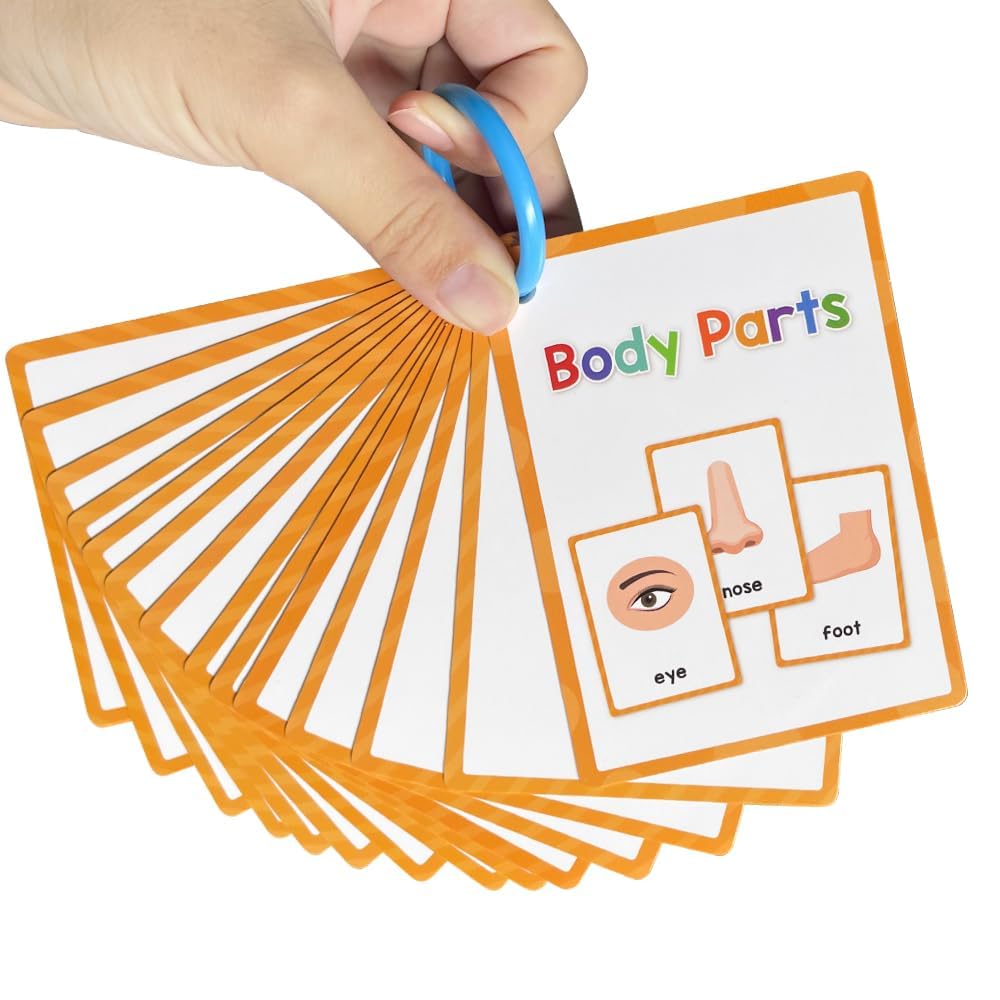 Lachilly Body Parts Learning Flashcards – 28 Words, 15 Double-Sided Cards for Kindergarten–1st Grade