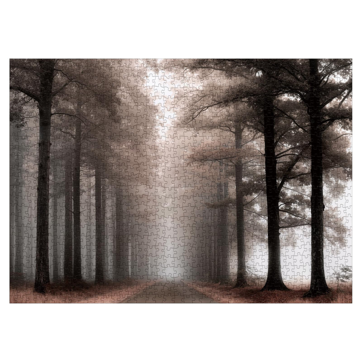 Larkipuzz Mystery Forest Landscape Puzzle - 1000 Pieces for Adults