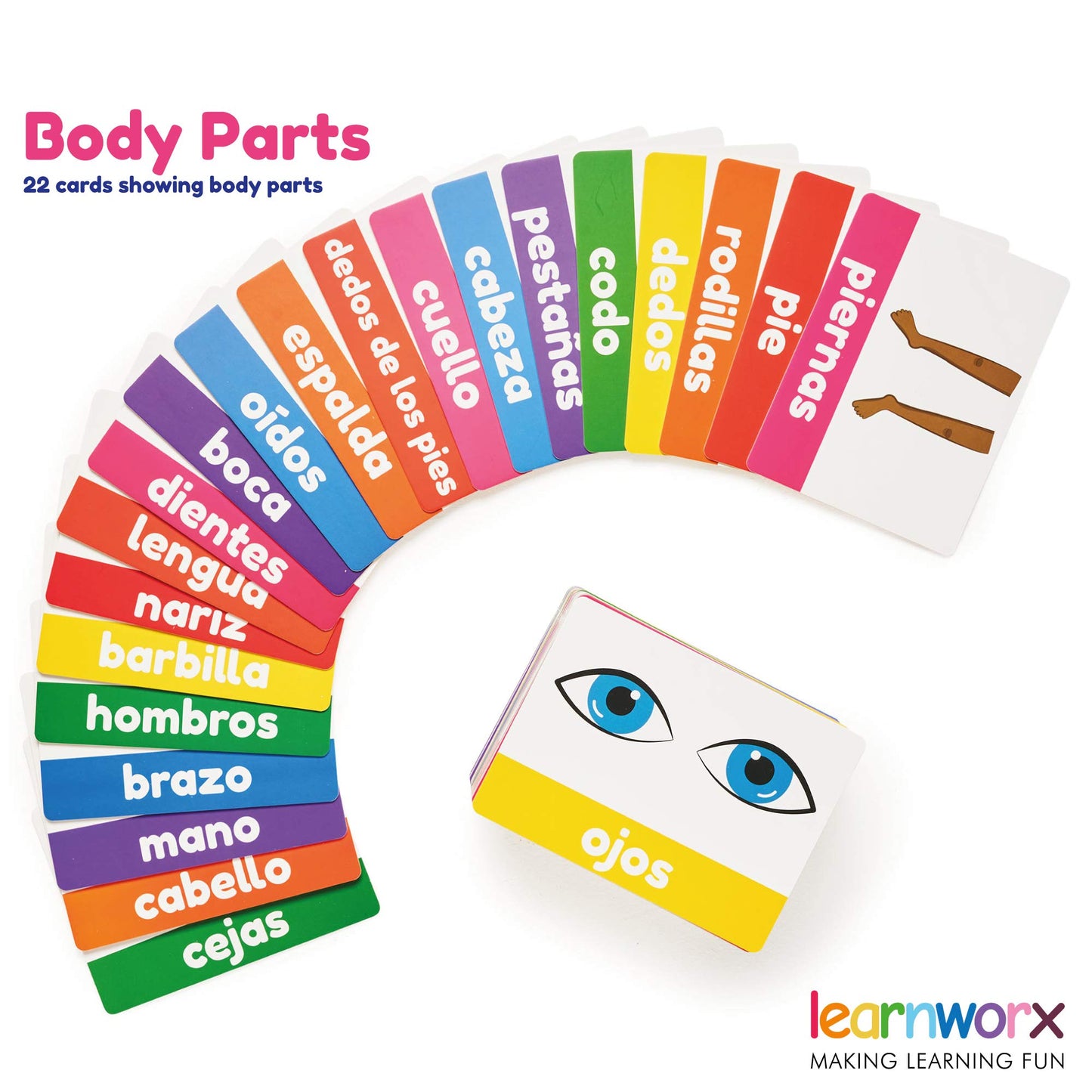 Learnworx Spanish Flash Cards for Kids & Toddlers – 101 Double-Sided Cards (202 Sides)