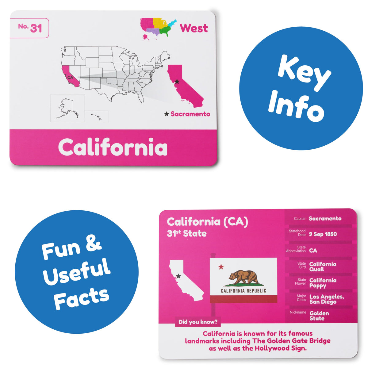 Learnworx U.S. States Flash Cards for Kids — 50 States with Capitals, Flags & More