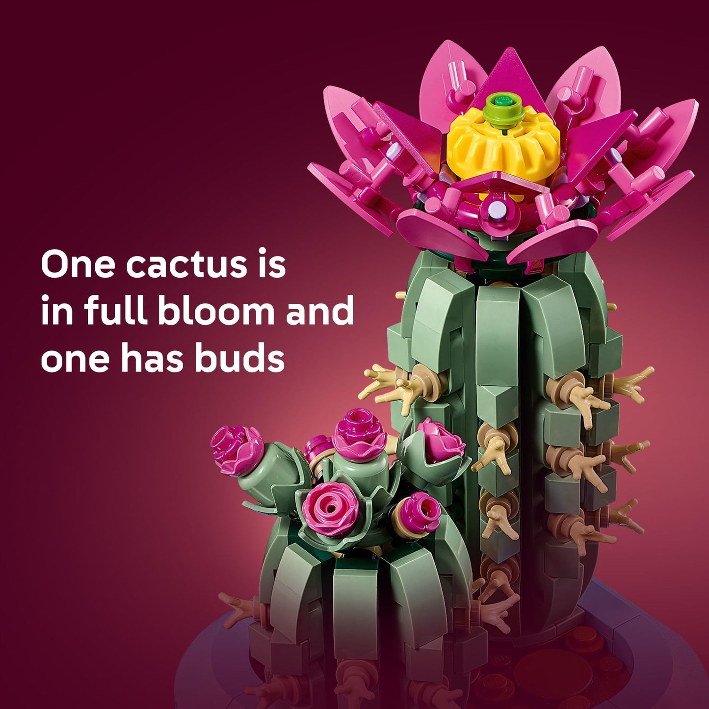 LEGO Botanicals Flowering Cactus 11509 – Creative Building Toy for Ages 9+