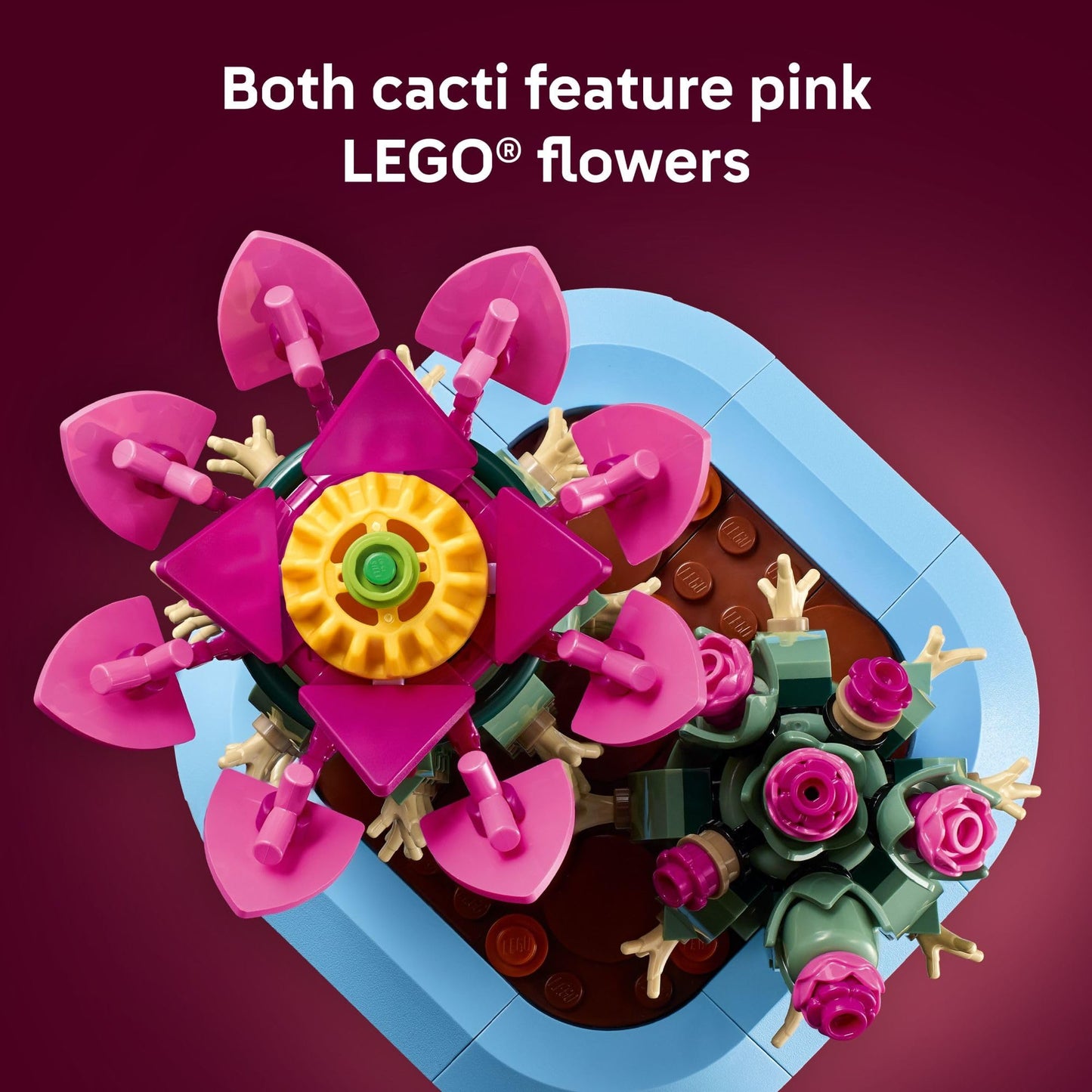 LEGO Botanicals Flowering Cactus 11509 – Creative Building Toy for Ages 9+