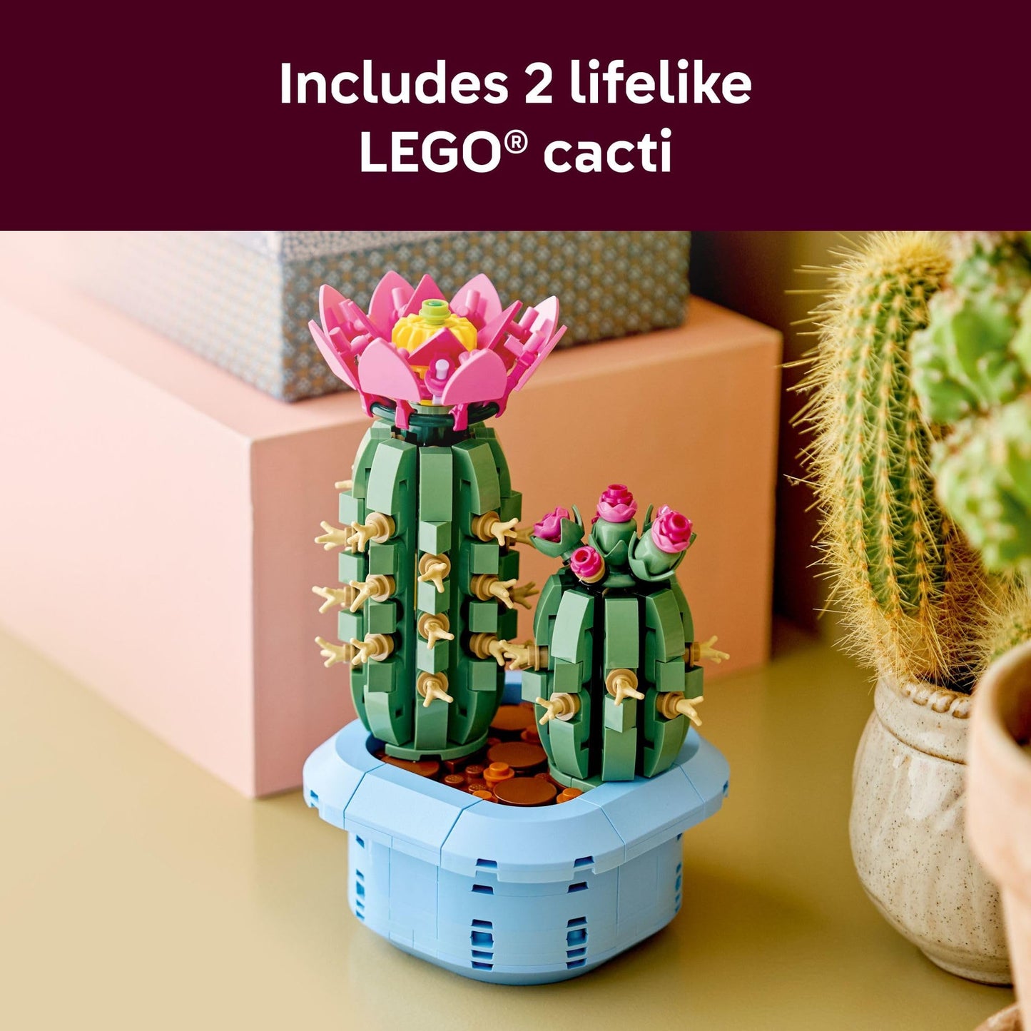 LEGO Botanicals Flowering Cactus 11509 – Creative Building Toy for Ages 9+