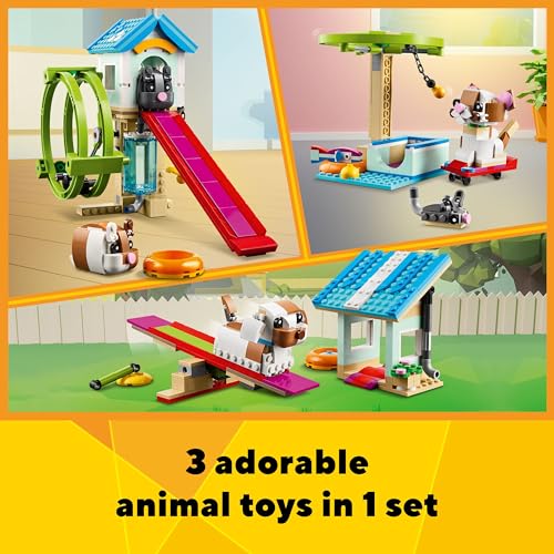 LEGO Creator 3-in-1 31155 Hamster Wheel | Build, Rebuild & Play