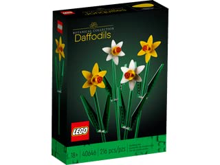 LEGO Daffodils Botanical Collection 40646 – Build, Display & Collect