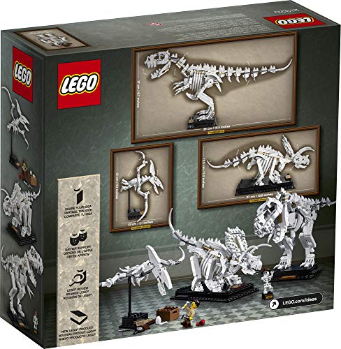 LEGO Ideas 21320 Dinosaur Fossils Building Kit – 910 Pieces | Museum-Style Skeletons