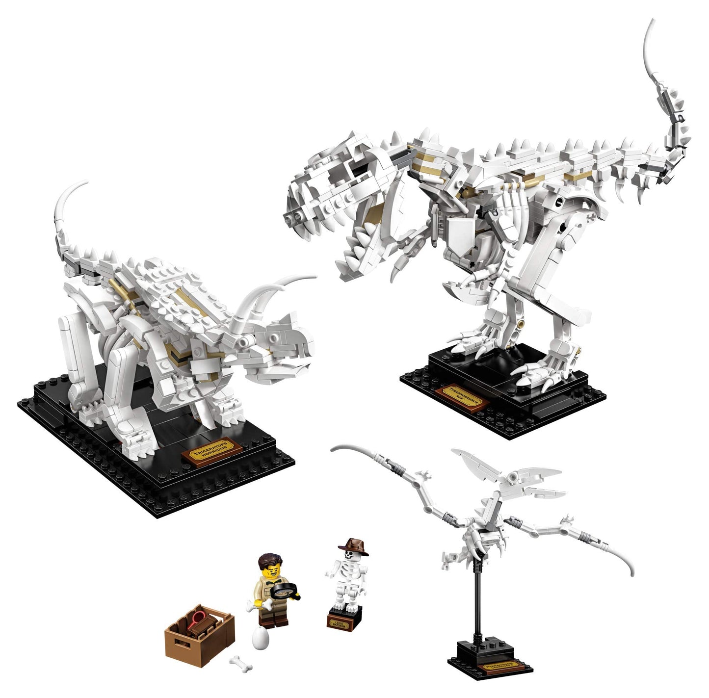 LEGO Ideas 21320 Dinosaur Fossils Building Kit – 910 Pieces | Museum-Style Skeletons