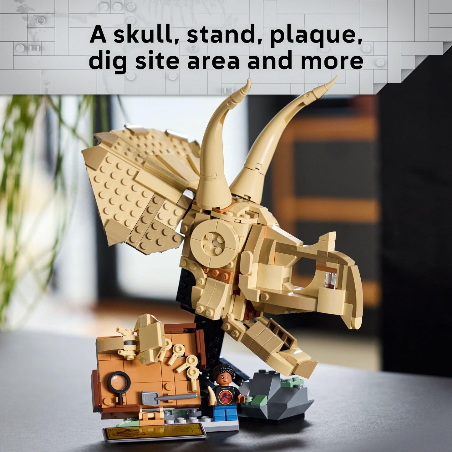 LEGO Jurassic World Dinosaur Fossils: Triceratops Skull Build & Display Set (76969)