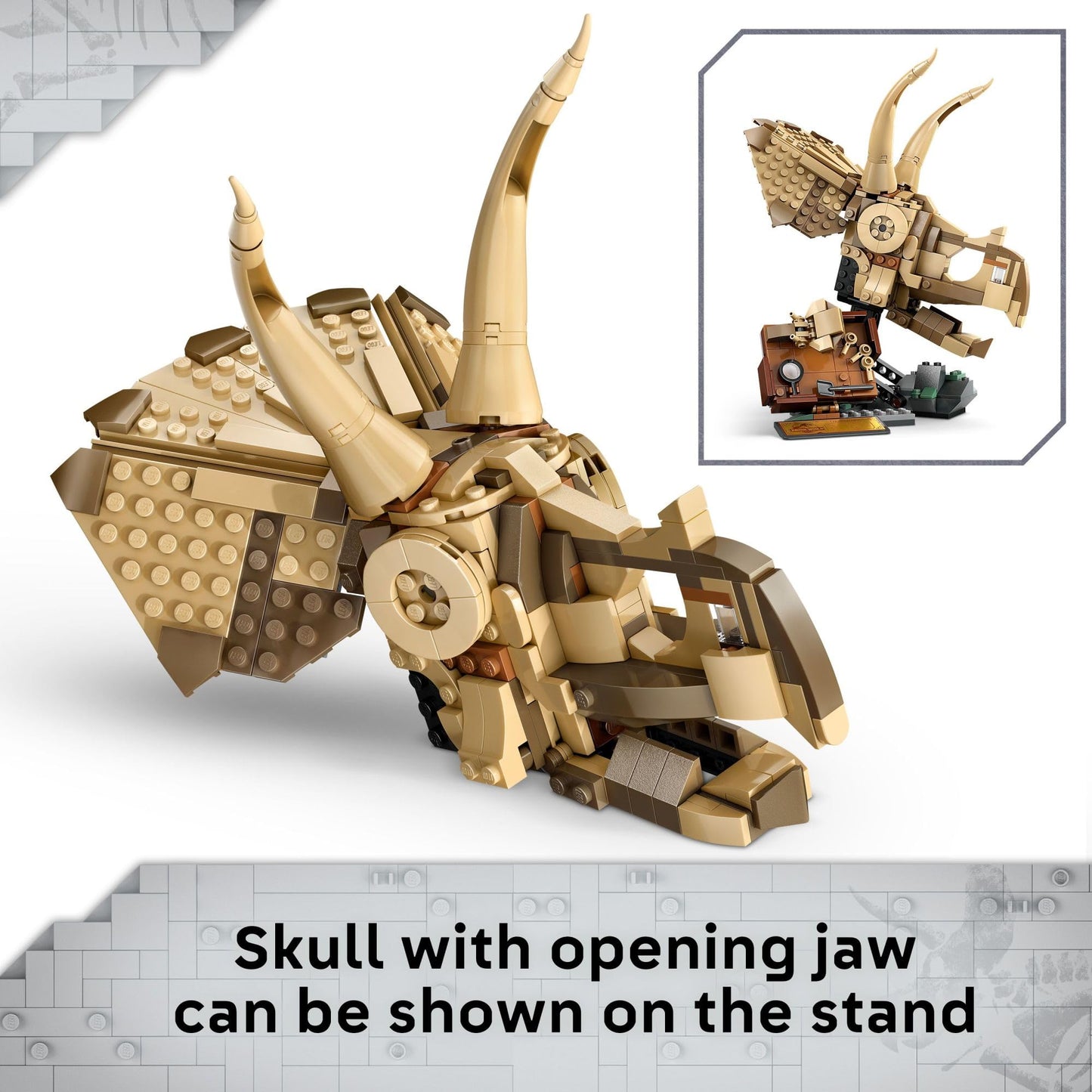 LEGO Jurassic World Dinosaur Fossils: Triceratops Skull Build & Display Set (76969)