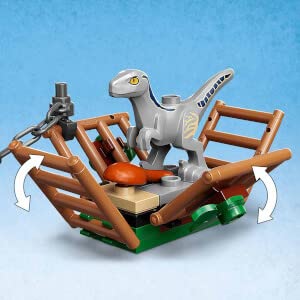 LEGO Jurassic World Blue & Beta Velociraptor Capture – 181 Pieces for Kids 6+