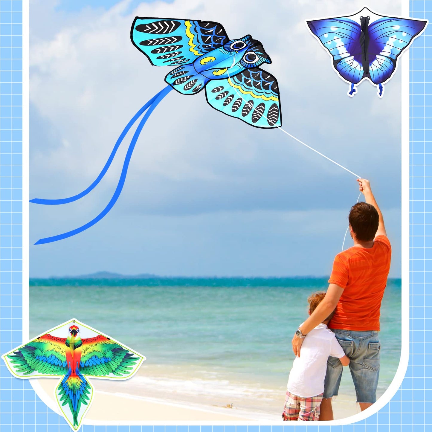 Leitee 6 Pack Large Kites for Kids & Adults – Butterfly, Dragonfly, Owl & More
