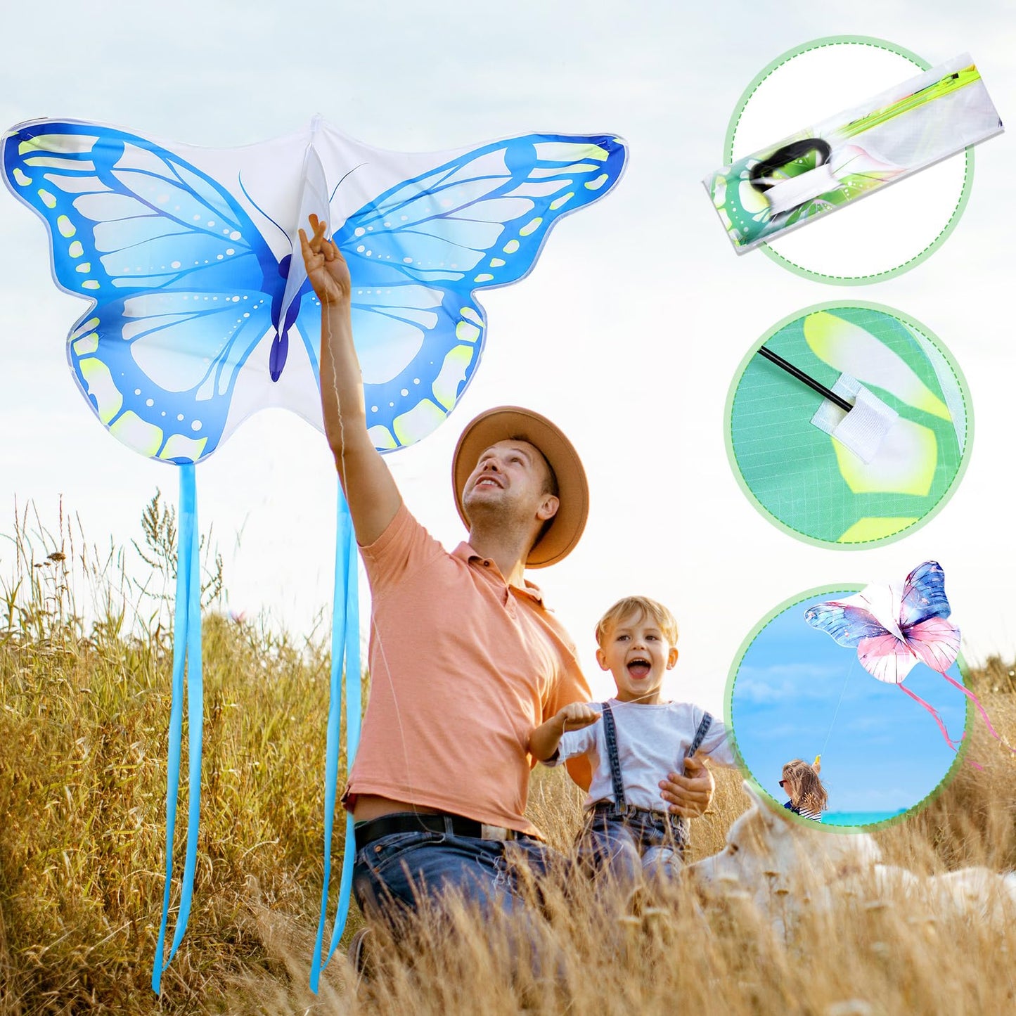 Leitee 6 Pack Large Kite Set: Butterfly, Dragonfly, Owl, Parrot, Eagle & Goldfish