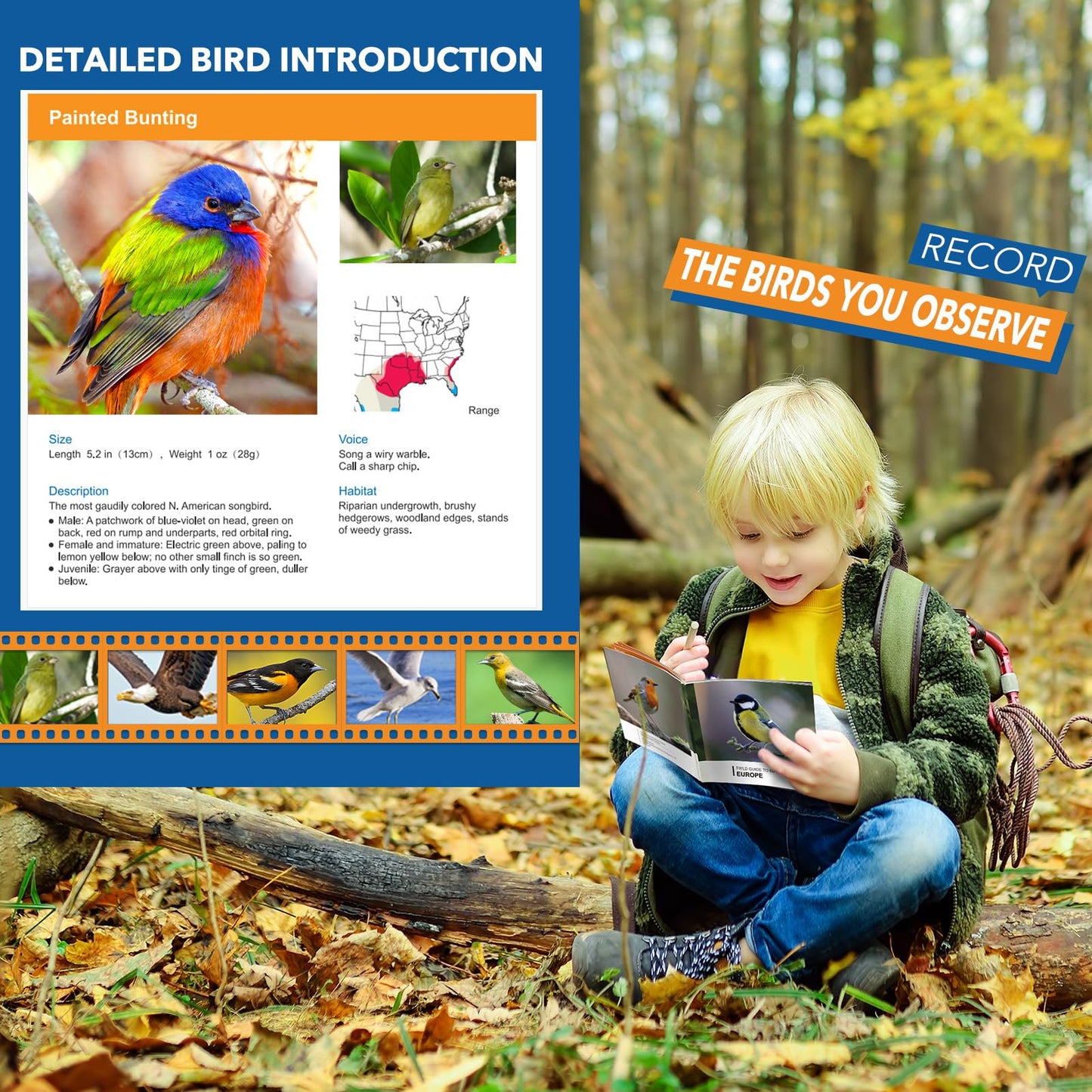 LET'S GO! Kids Binoculars 3-7: Bird Watching, Hiking & Camping Toy