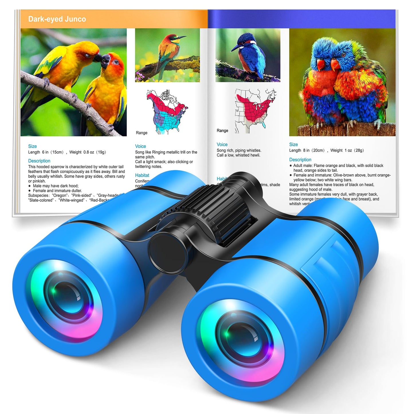 LET'S GO! Kids Binoculars with Bird Watching Manual — 4x30 Outdoor Toy for 3-7 Year Olds