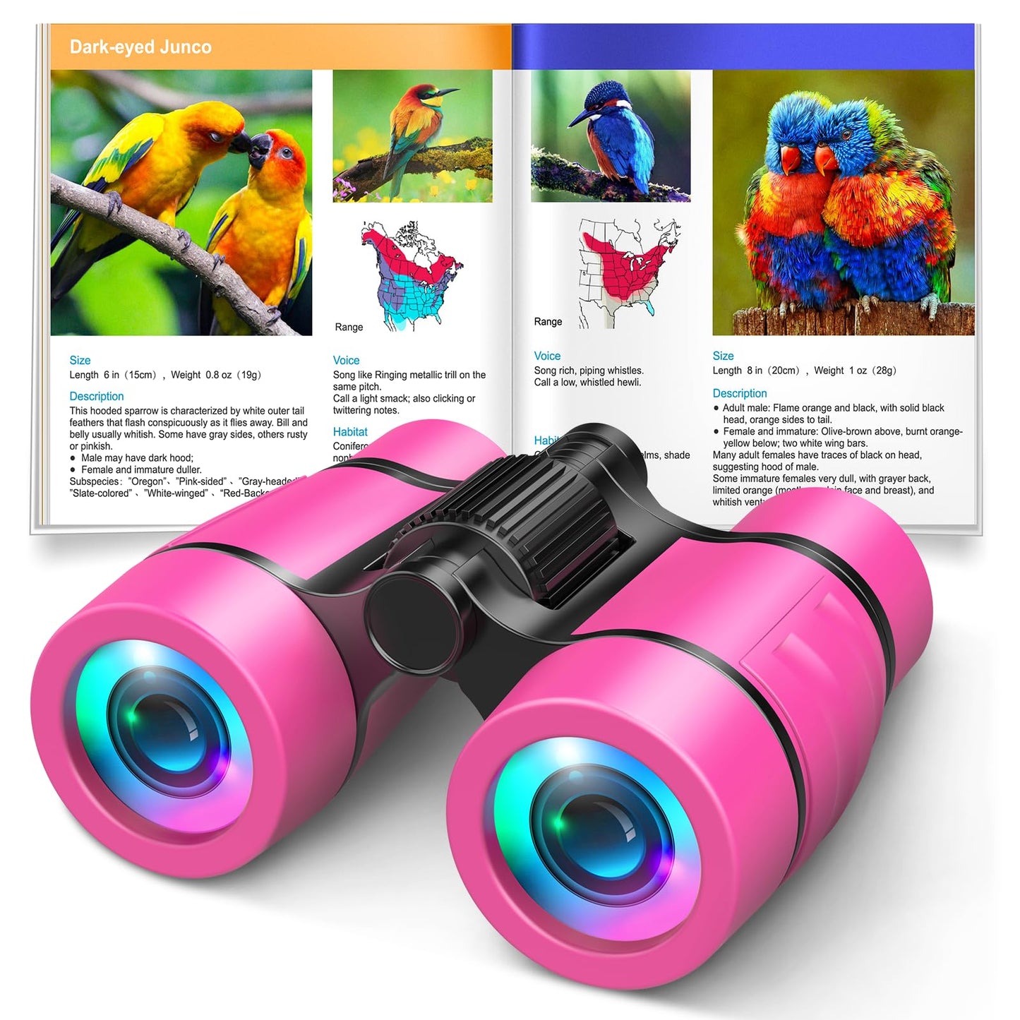 LET'S GO! Kids Binoculars for Bird Watching & Outdoor Adventures (Ages 3-7)