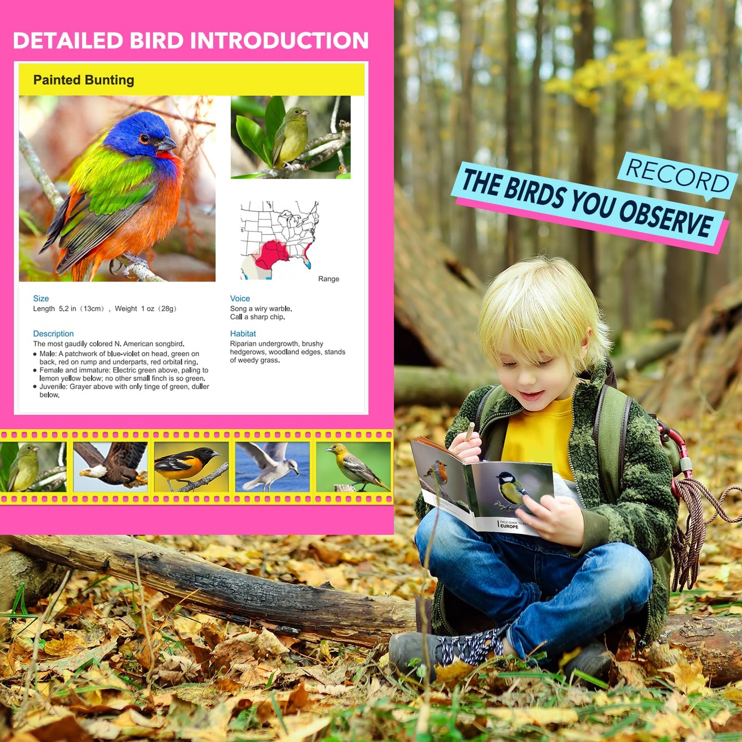 LET'S GO! Kids Binoculars for Bird Watching & Outdoor Adventures (Ages 3-7)
