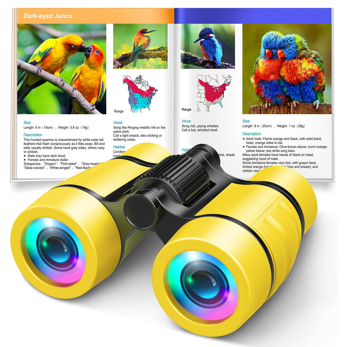 LET'S GO! Bird Watching Binoculars for Kids (Ages 3-7) – Outdoor Learning Toy