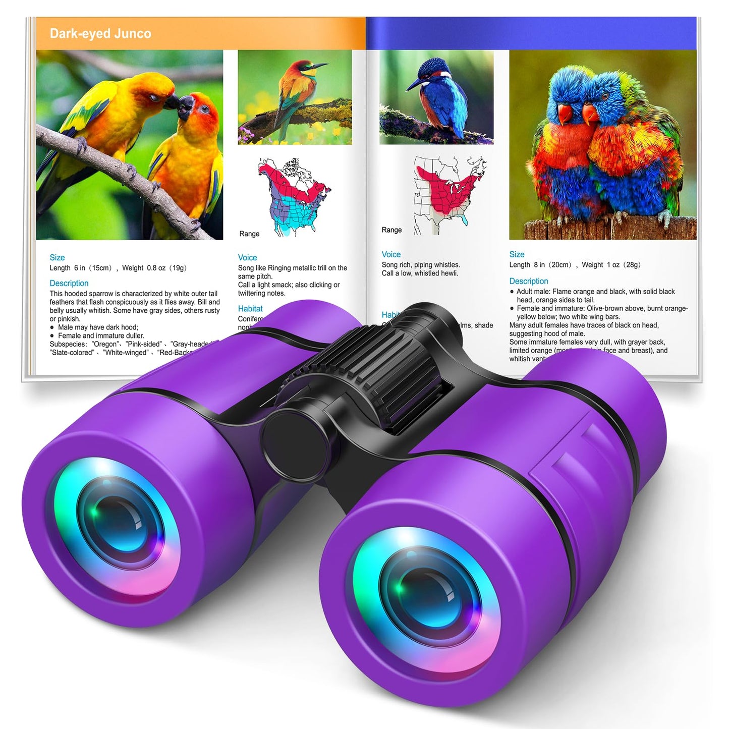LET'S GO! Compact Bird Watching Binoculars for Kids 3-7 | Outdoor Educational Toy