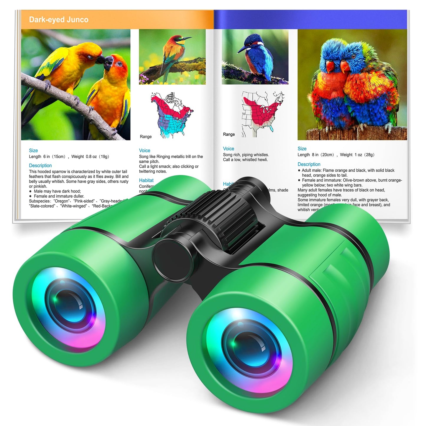 LET'S GO! Kids Binoculars 3-7: Bird Watching, Hiking & Camping Toy