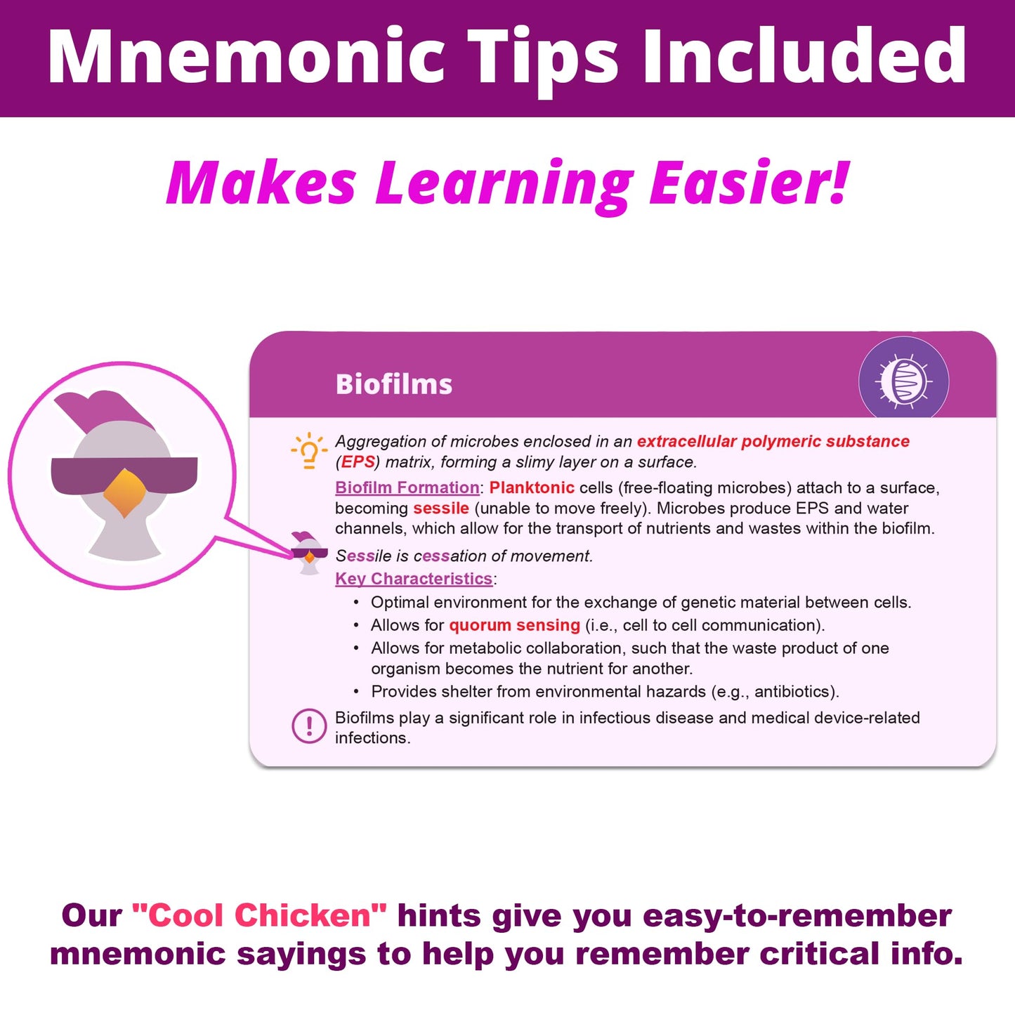 Level Up RN Microbiology Flash Cards – Nursing School Essentials (400 Cards) – TEAS & HESI A2 2026