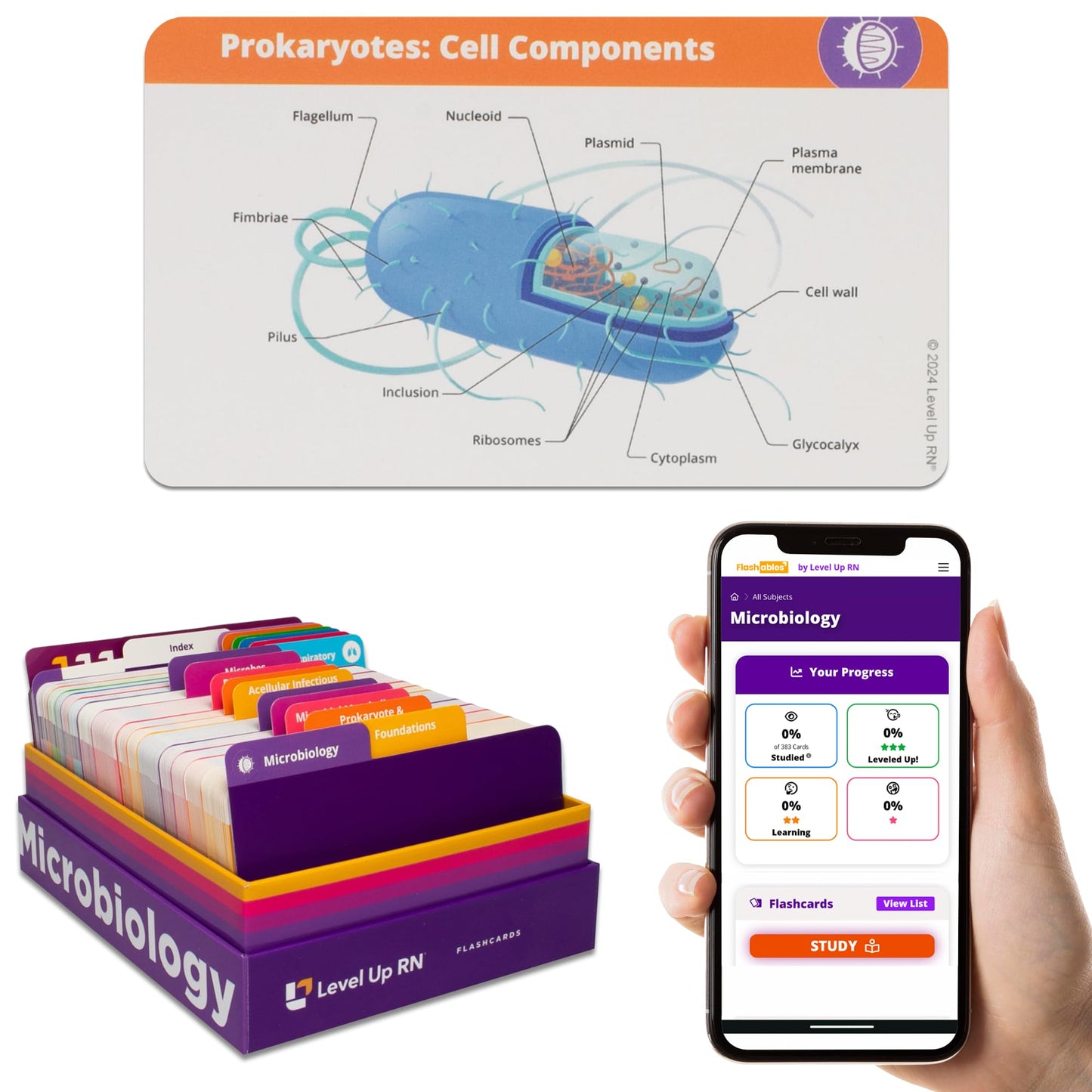 Level Up RN Microbiology Flash Cards – Nursing School Essentials (400 Cards) – TEAS & HESI A2 2026