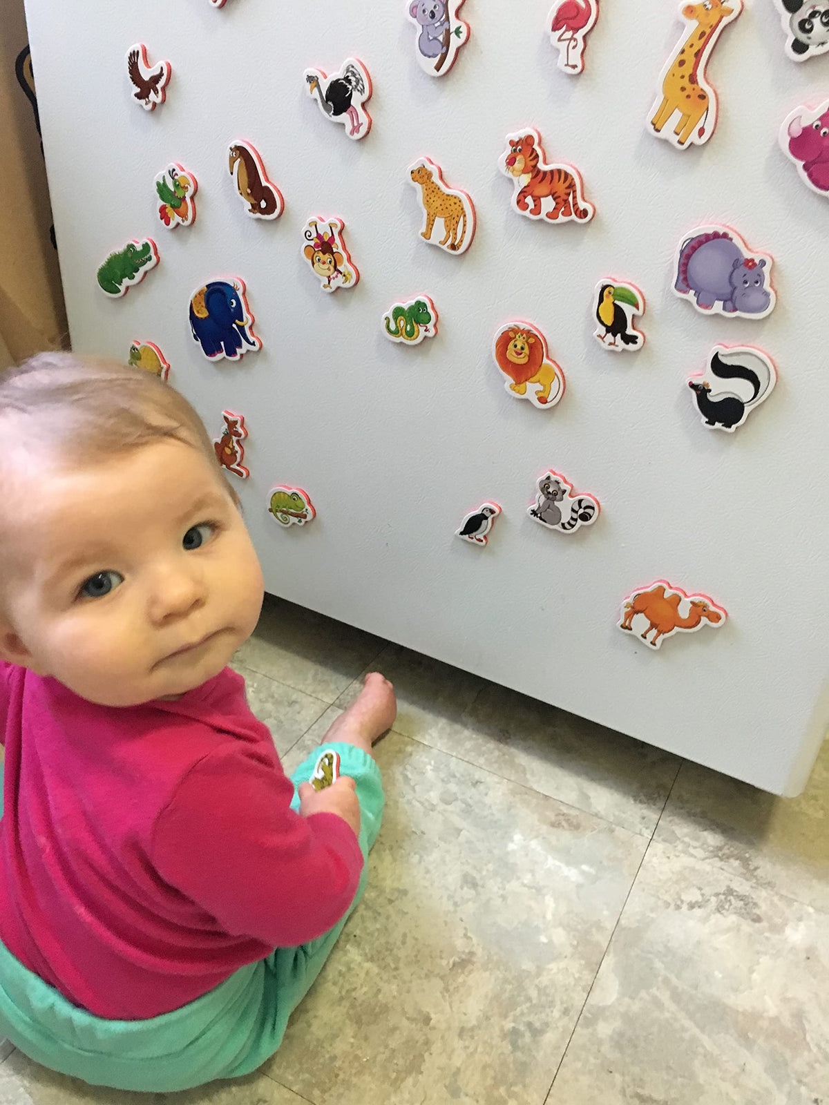 LIENO ROSIO Zoo Animals Refrigerator Magnets for Toddlers – Big Fridge Magnets for 1-3 Year Olds | Educational Magnetic Toys