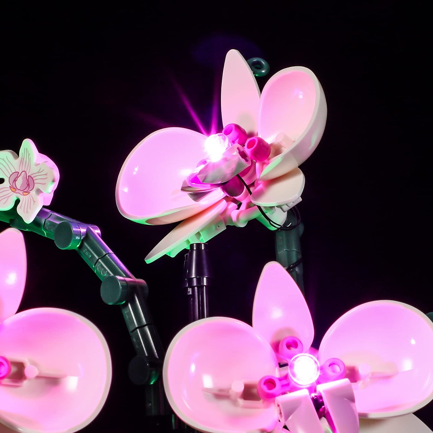 LIGHTAILING LED Light for LEGO 10311 Orchid – Easy Install, Hidden Wiring, Gift-Ready