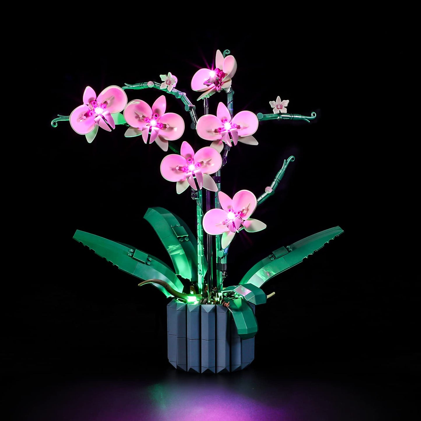 LIGHTAILING LED Light for LEGO 10311 Orchid – Easy Install, Hidden Wiring, Gift-Ready