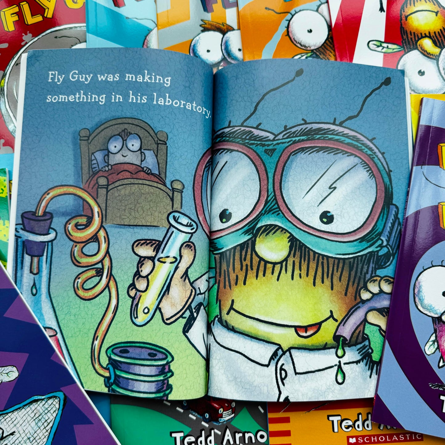 Limonuos Fly Guy 1-21 Collection – Complete 21-Piece Boxed Set for First & Second Grade Kids