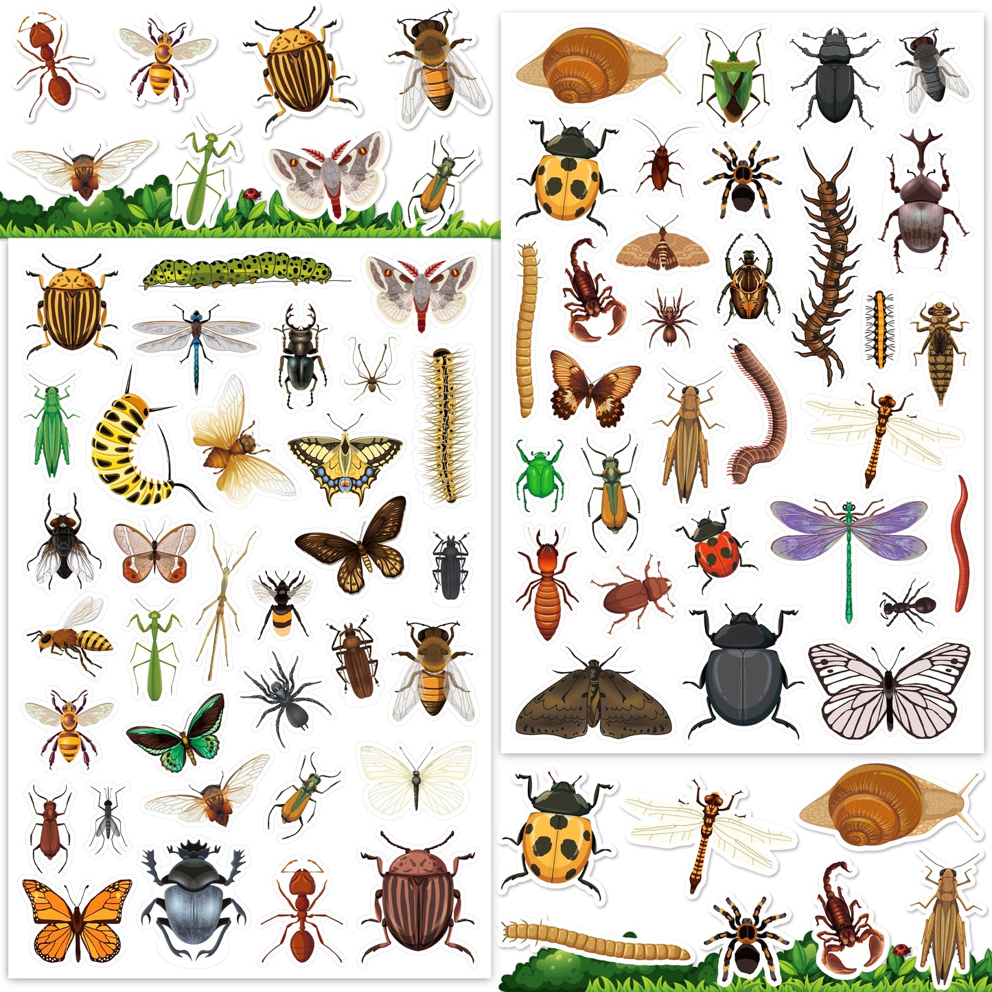 LINAYE Insect Stickers Bulk – 780+ Bug Stickers for Kids, Scrapbooking & More