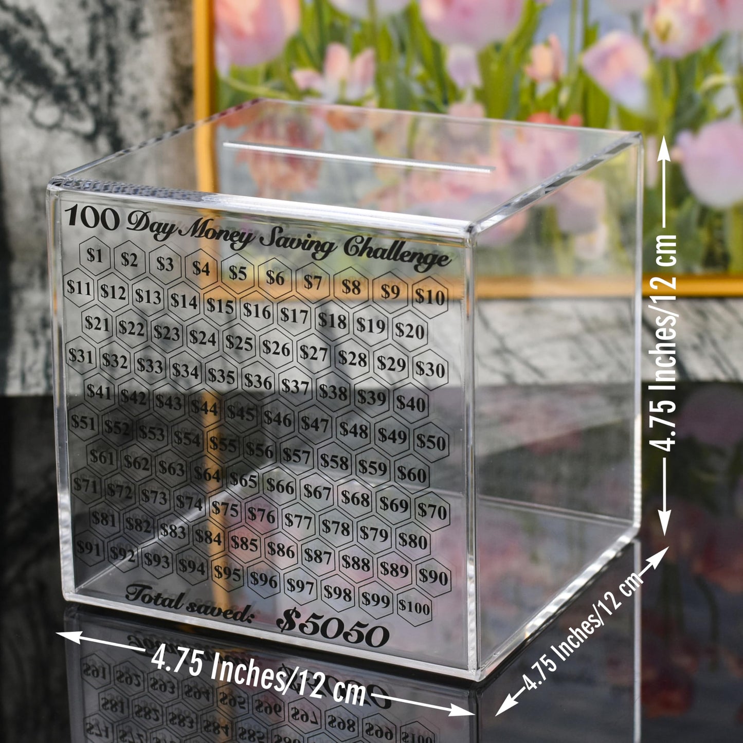 LingLingo Piggy Bank for Adults - Smash Box, Clear Acrylic, 5050 Savings Challenge