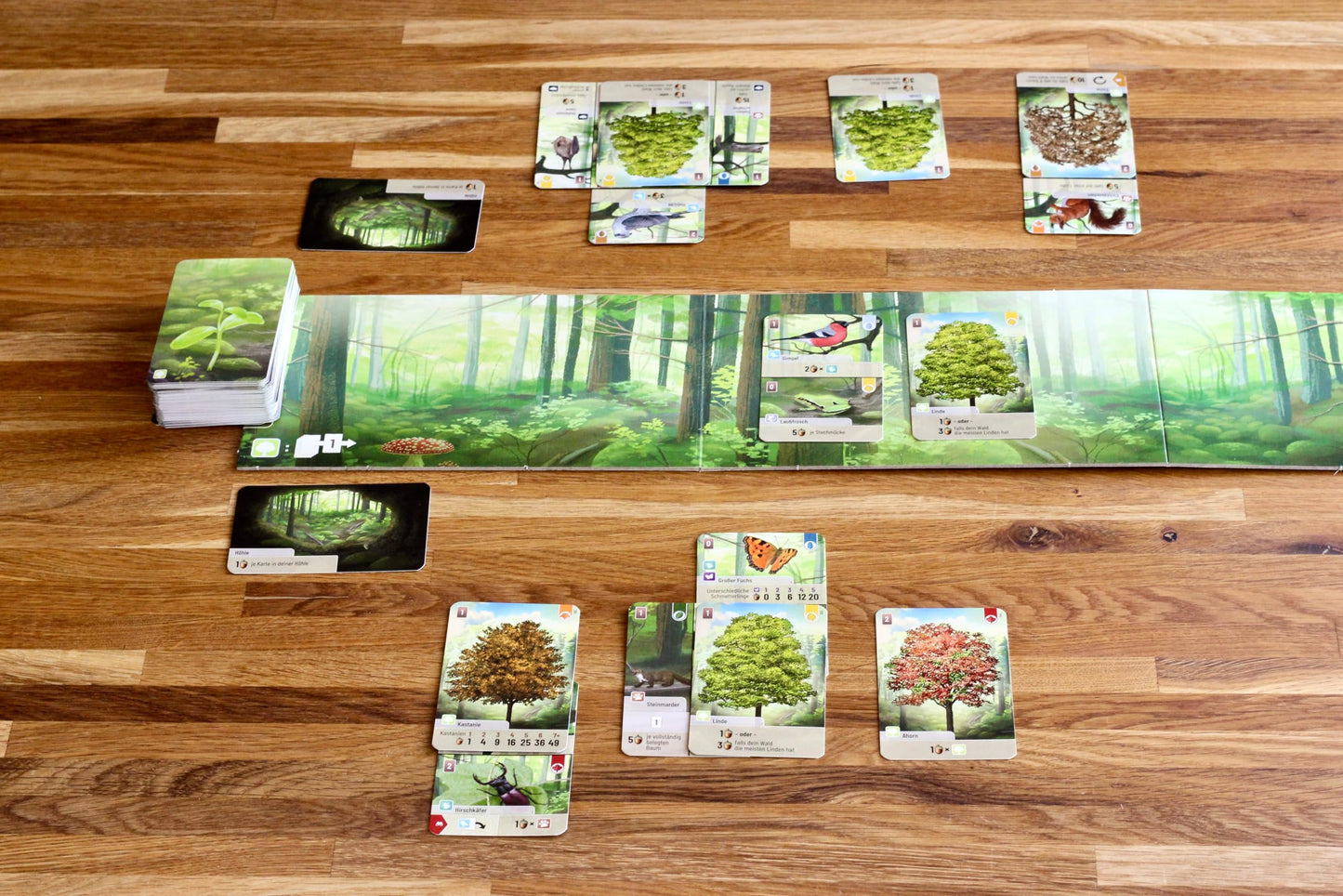 Lookout Forest Shuffle Card Game — Build an Ecological Paradise (2-5 Players, 60 Min)