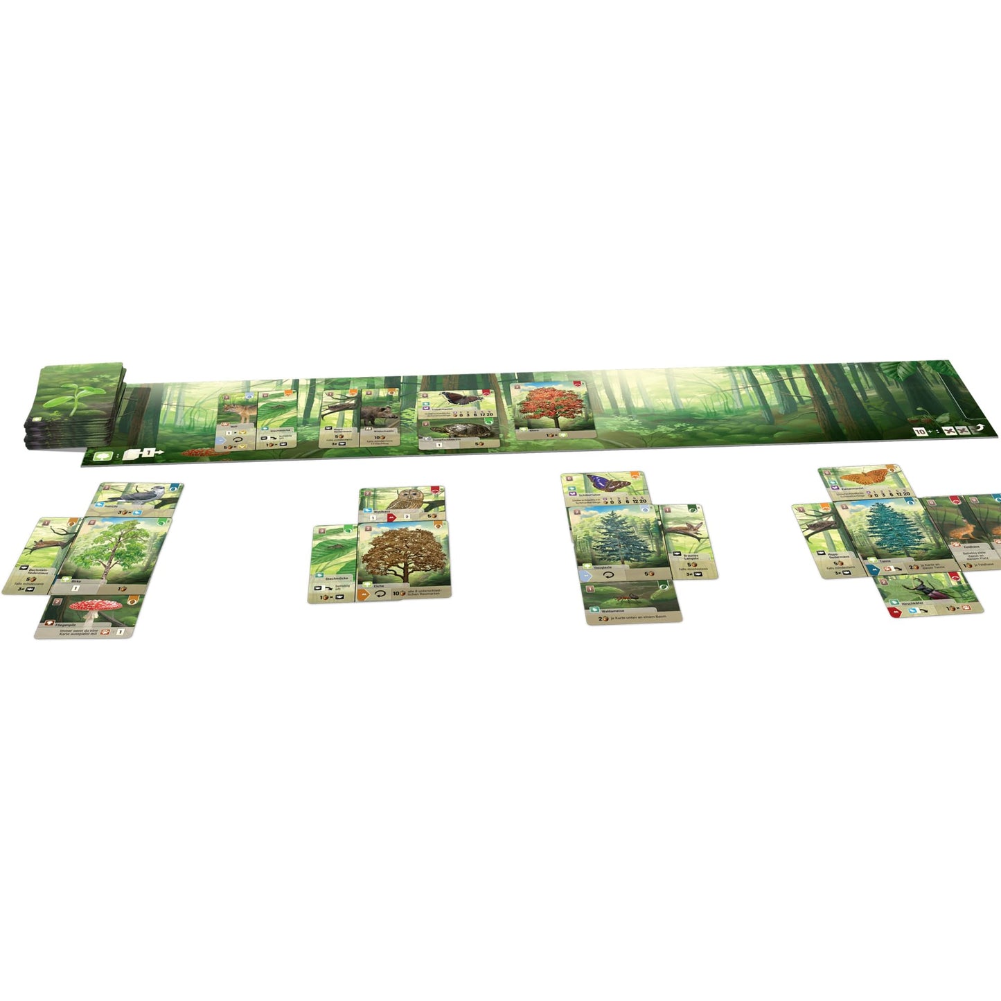 Lookout Forest Shuffle Card Game — Build an Ecological Paradise (2-5 Players, 60 Min)