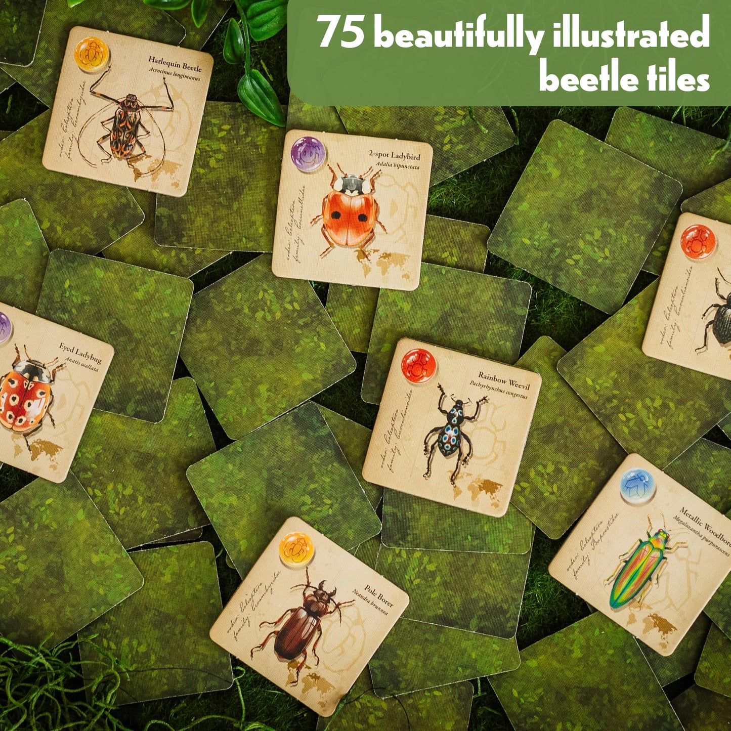 Lovemore Games Jewel Box: Family Strategy Board Game (1–4 players, 15–30 min, 75 unique beetles)