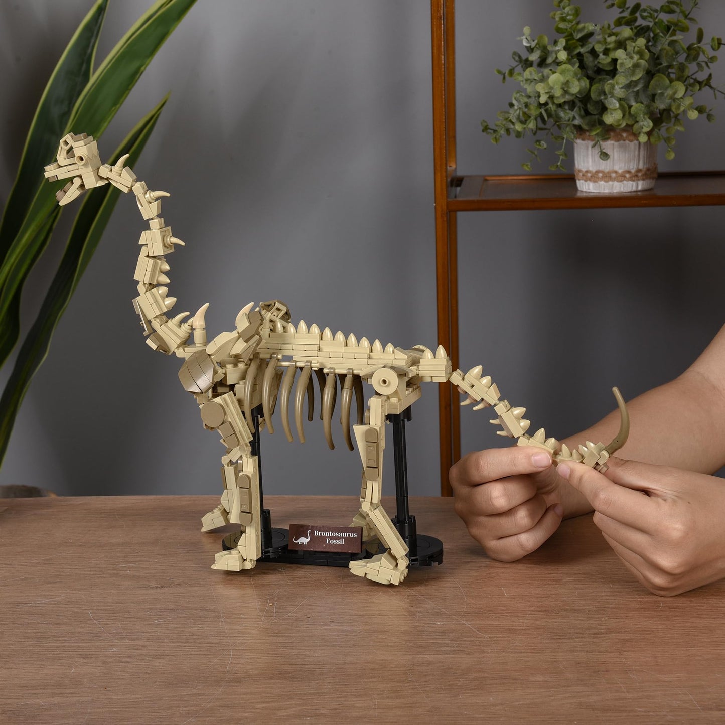 LUXEBLOCKS Brontosaurus Skeleton Building Set – 19-Inch Display Model with Articulated Joints (476 Pieces)