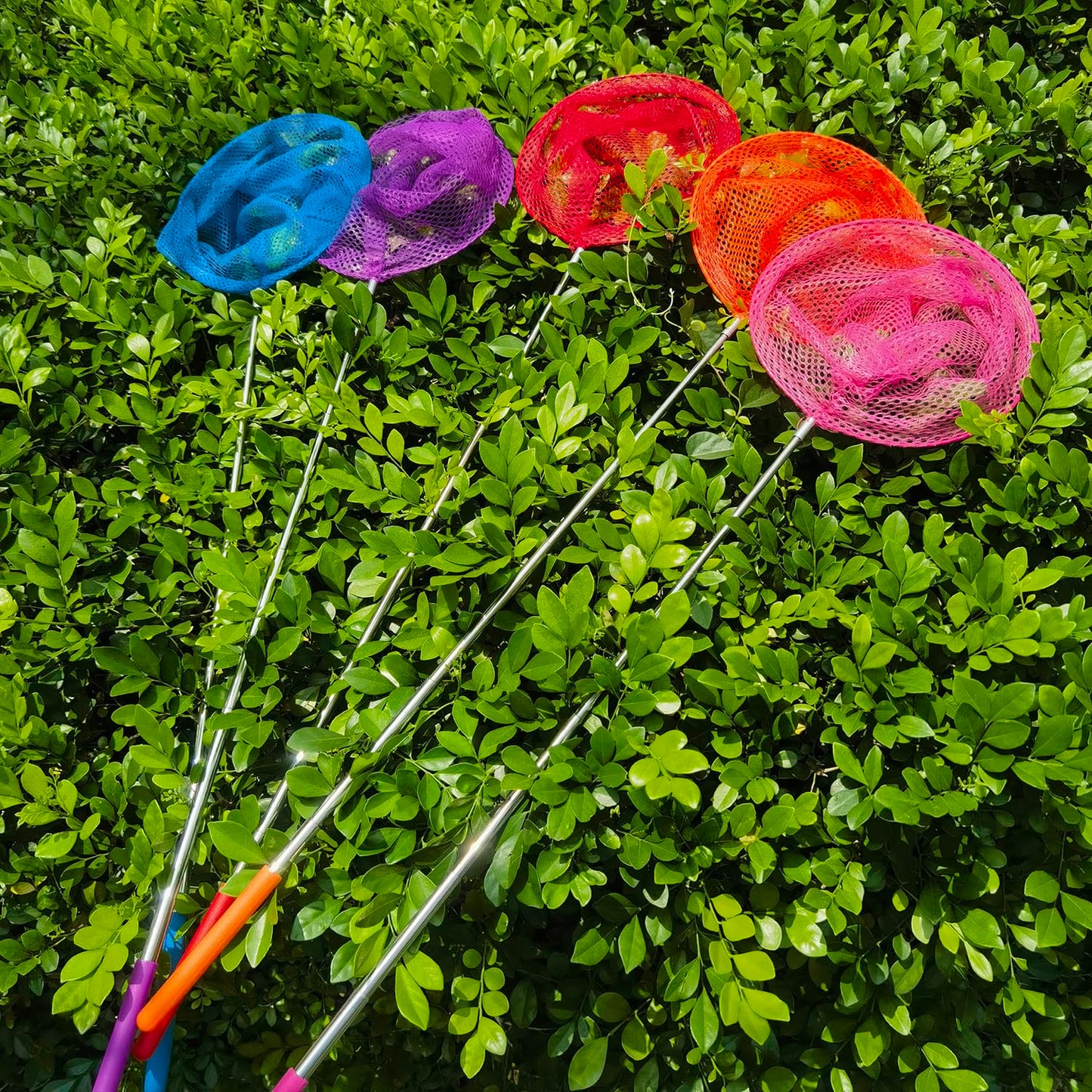 M-jump 2 Pack Kids Telescopic Butterfly Nets – Extendable 34in, Anti-Slip Grip