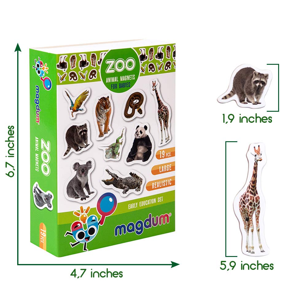 MAGDUM 19 Fridge Magnets for Toddlers – Zoo Animal Magnets for Refrigerator