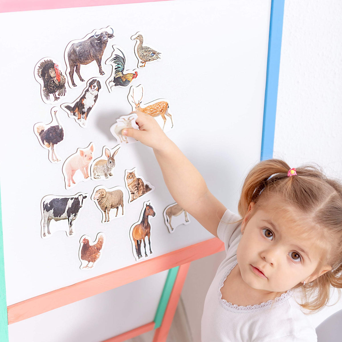 Magdum Fridge Magnets for Toddlers – 16 Farm Animals Learning Set