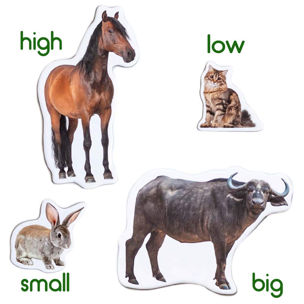 Magdum Fridge Magnets for Toddlers – 16 Farm Animals Learning Set
