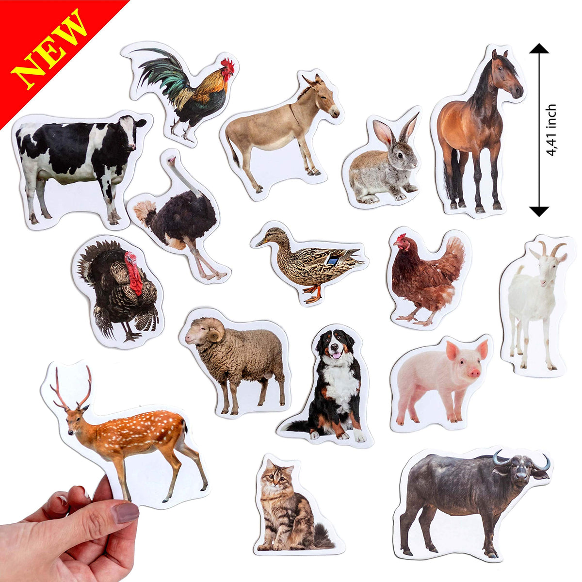 Magdum Fridge Magnets for Toddlers – 16 Farm Animals Learning Set