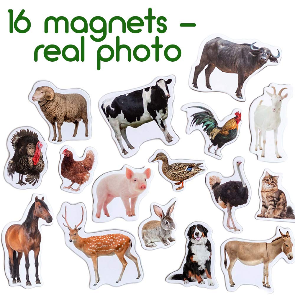 Magdum Fridge Magnets for Toddlers – 16 Farm Animals Learning Set
