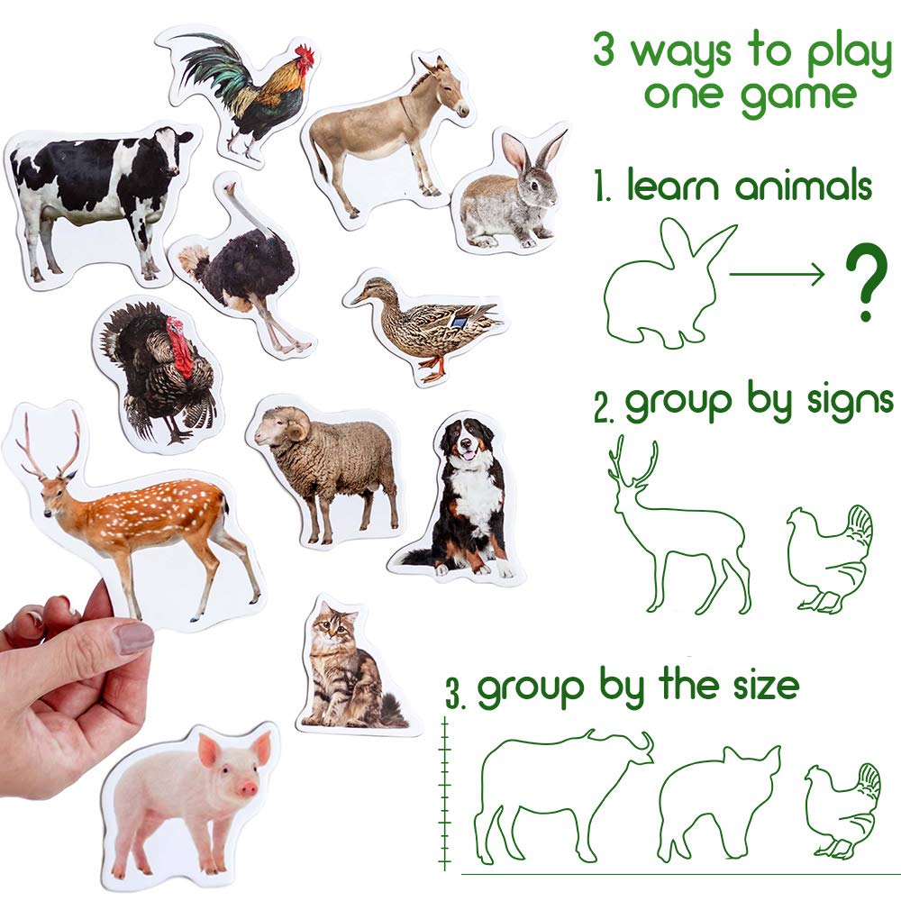 Magdum Fridge Magnets for Toddlers – 16 Farm Animals Learning Set