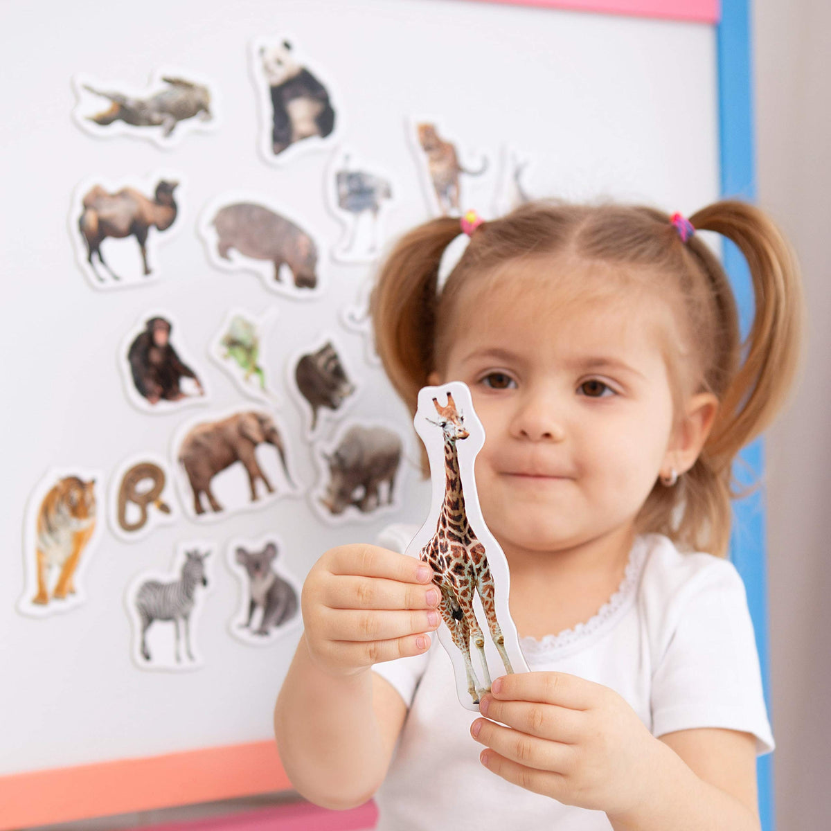 MAGDUM 19 Fridge Magnets for Toddlers – Zoo Animal Magnets for Refrigerator
