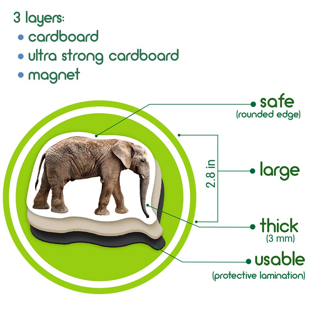 MAGDUM 19 Fridge Magnets for Toddlers – Zoo Animal Magnets for Refrigerator